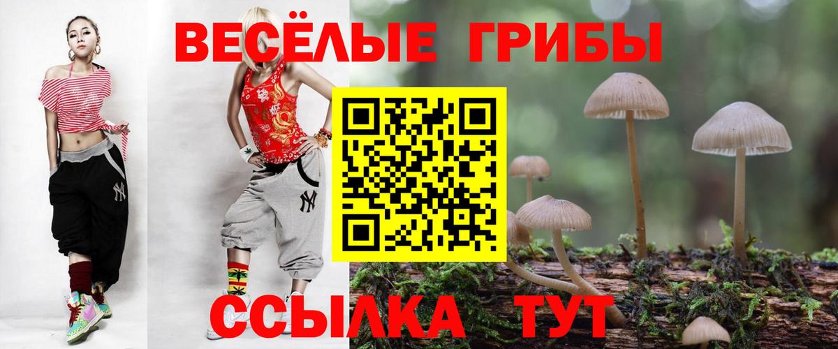 Псилоцибиновые грибы ЛСД  Псилоцибиновые грибы Cubensis  Вход с VPN  Красноярск 