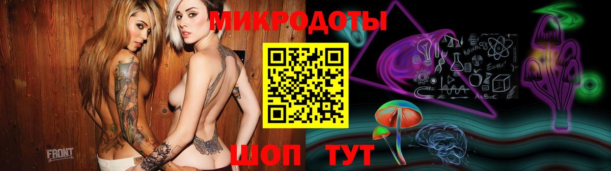 Псилоцибиновые грибы Psilocybe Красноярск